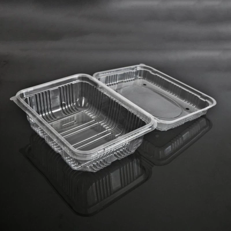 Hộp trái cây vỏ sò có lỗ