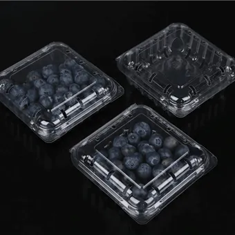 Bao bì vỏ sò việt quất Hộp đóng gói trái cây cắt tươi Bao bì trái cây Bao bì trái cây vỏ sò việt quất Bao bì hộp đựng trái cây vỏ sò việt quất